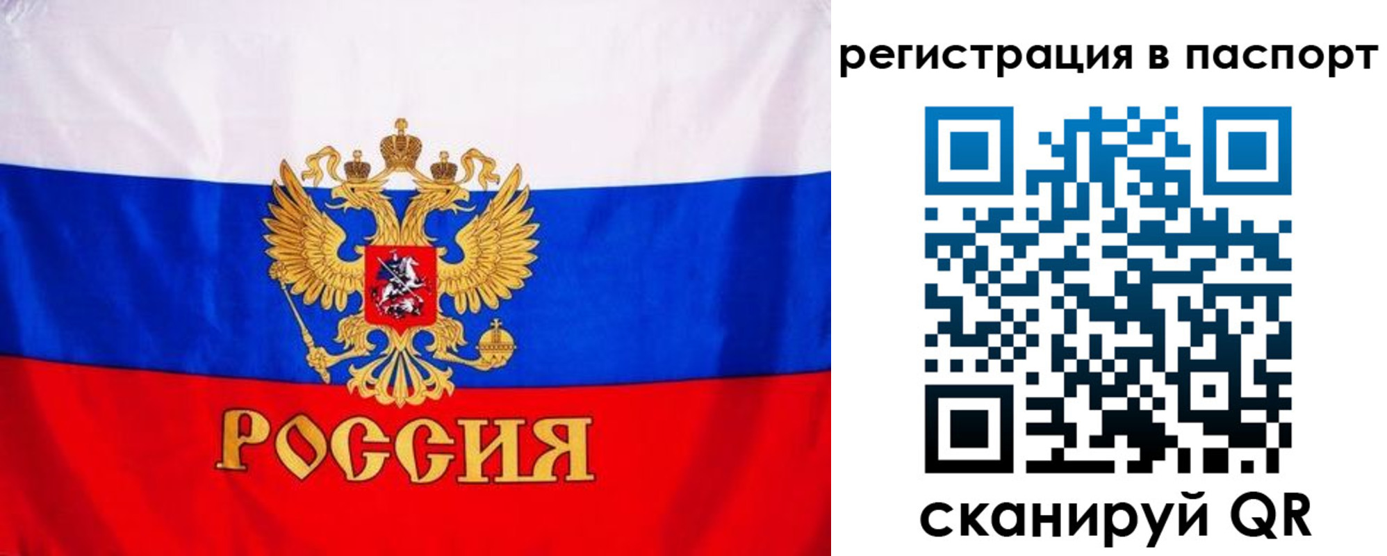 прописка 2025 в Липецке